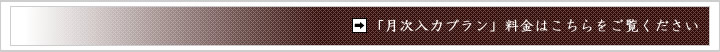 月次入力プランの料金について